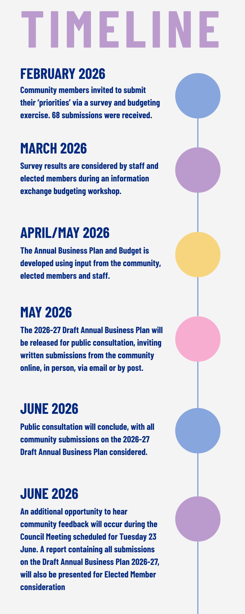 Annual Business Plan timeline